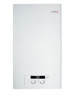 Газовый котел PROTHERM Lynx 24 Рысь