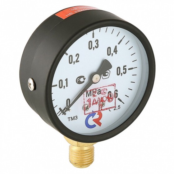 Манометр ТМ 310 радиальный 6 бар